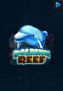 Dolphin Reef